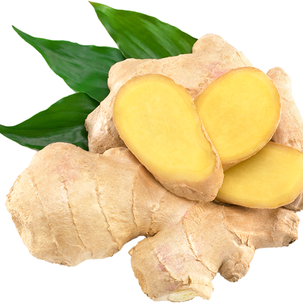 Ginger-PNG-Clipart