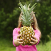 Pineapple in hands